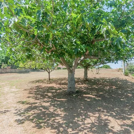 Apartament I Tigli 2